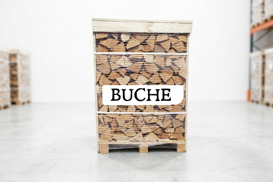 Brennholz Palette – Buche – 25 cm – kammergetrocknet – 1 RM