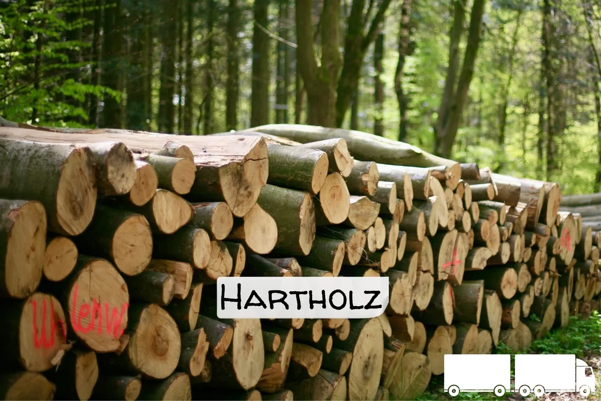 Stammholz Hartholz / Laubholz – Flexible LKW‑Ladung (20–40 RM)