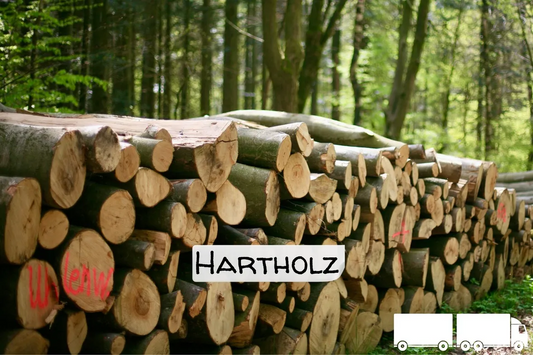 Stammholz Hartholz / Laubholz – Flexible LKW‑Ladung (20–40 RM)