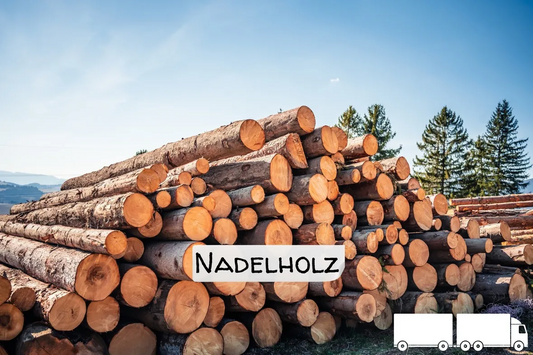 Stammholz Nadelholz – Flexible LKW‑Ladung (20–40 RM)